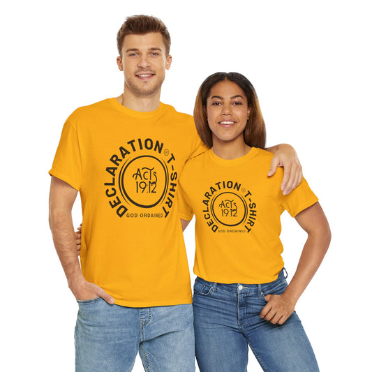 DECLARATION SHIRT - 4 Unisex Heavy Cotton Tee