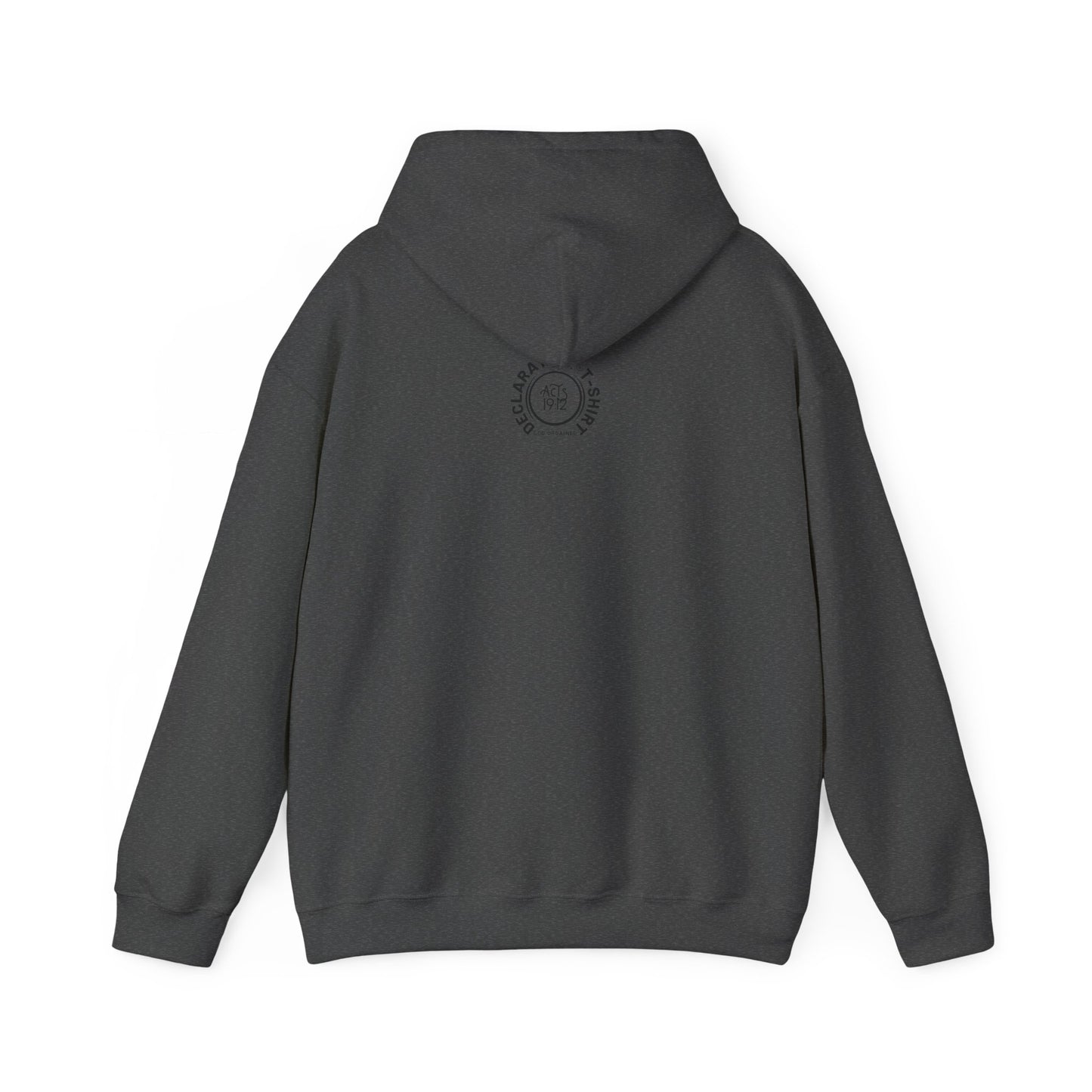WARRIOR 1 - Unisex Heavy Blend™ Hooded Sweatshirt