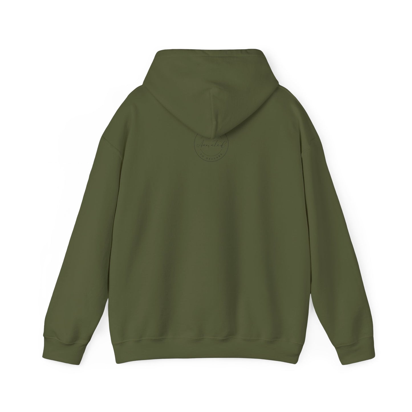 ANOINTED TO DECLARE 5 - Unisex Heavy Blend™ Hooded Sweatshirt