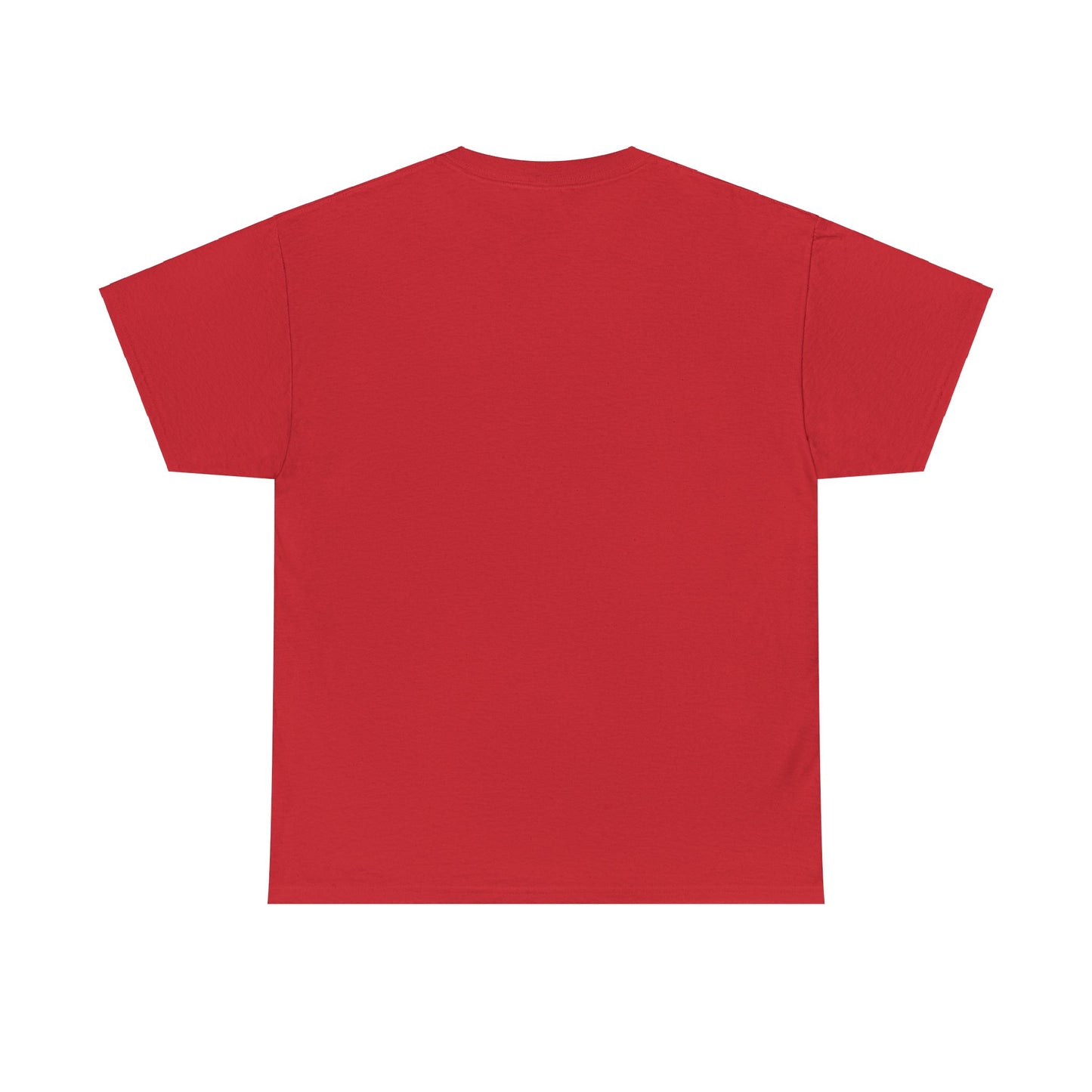 ANOINTED TO DECLARE 1 -Unisex Heavy Cotton Tee