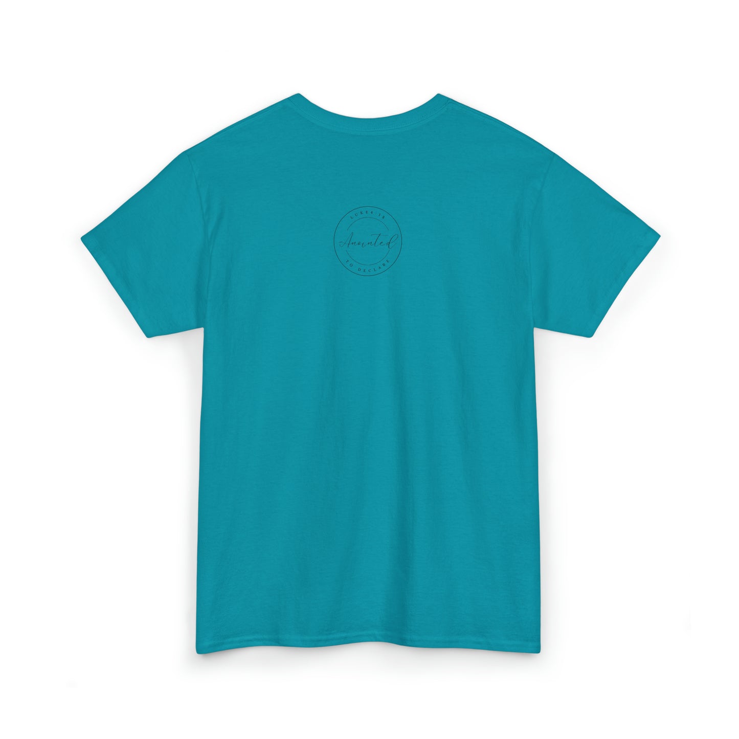 FSU - 1- Unisex Heavy Cotton Tee