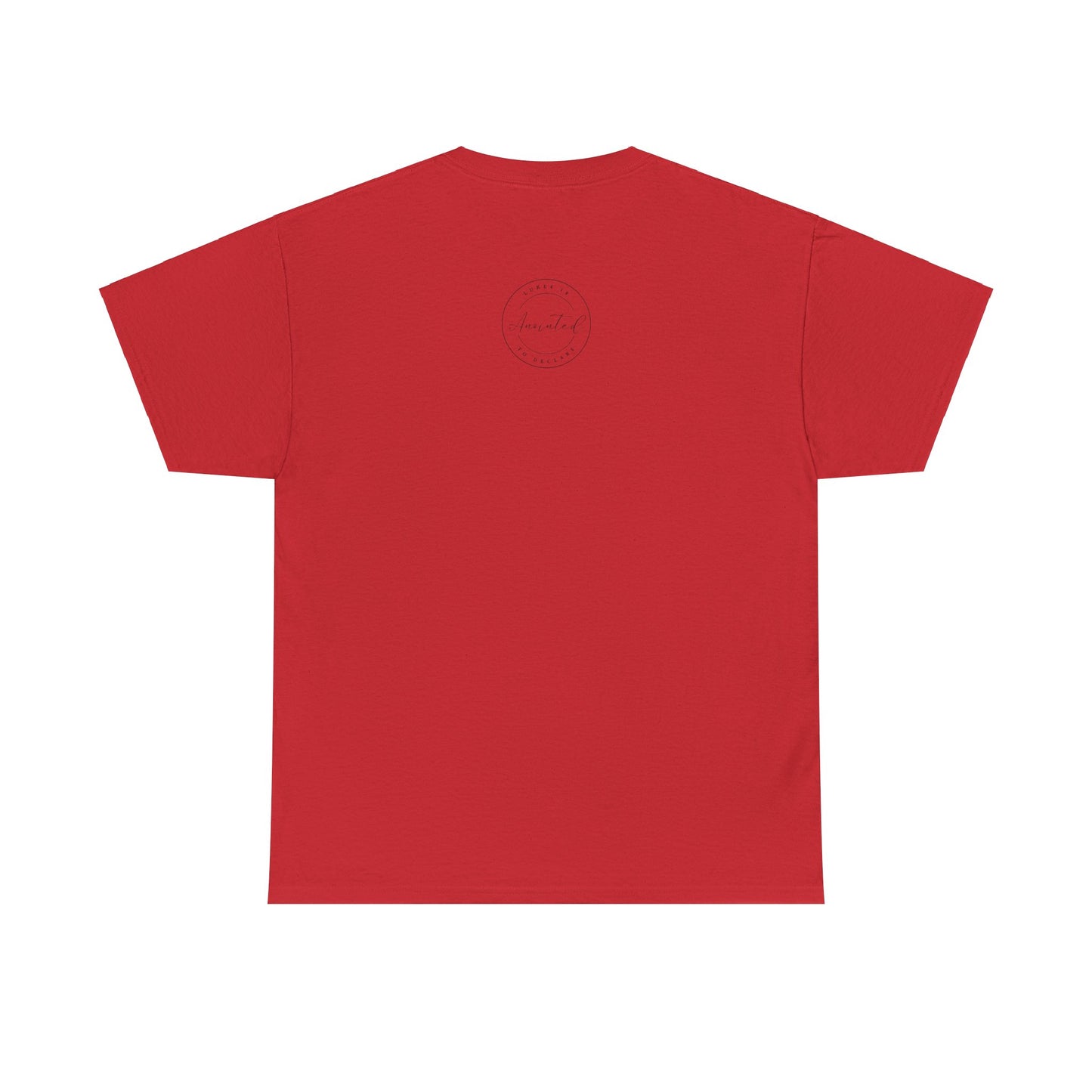 FSU - 1- Unisex Heavy Cotton Tee