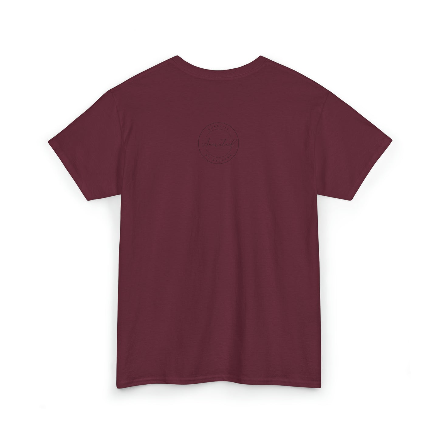 FSU - 1- Unisex Heavy Cotton Tee