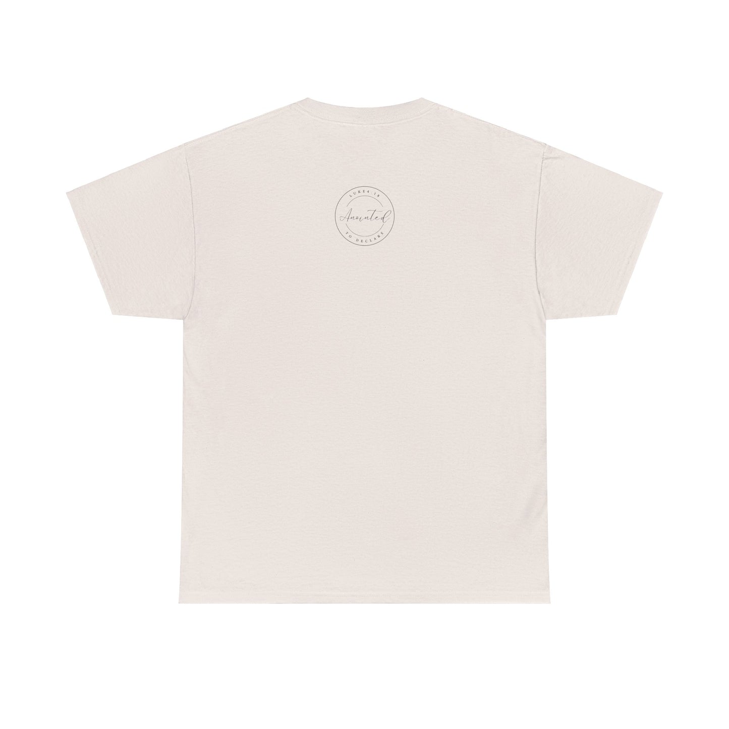 FSU - 1- Unisex Heavy Cotton Tee
