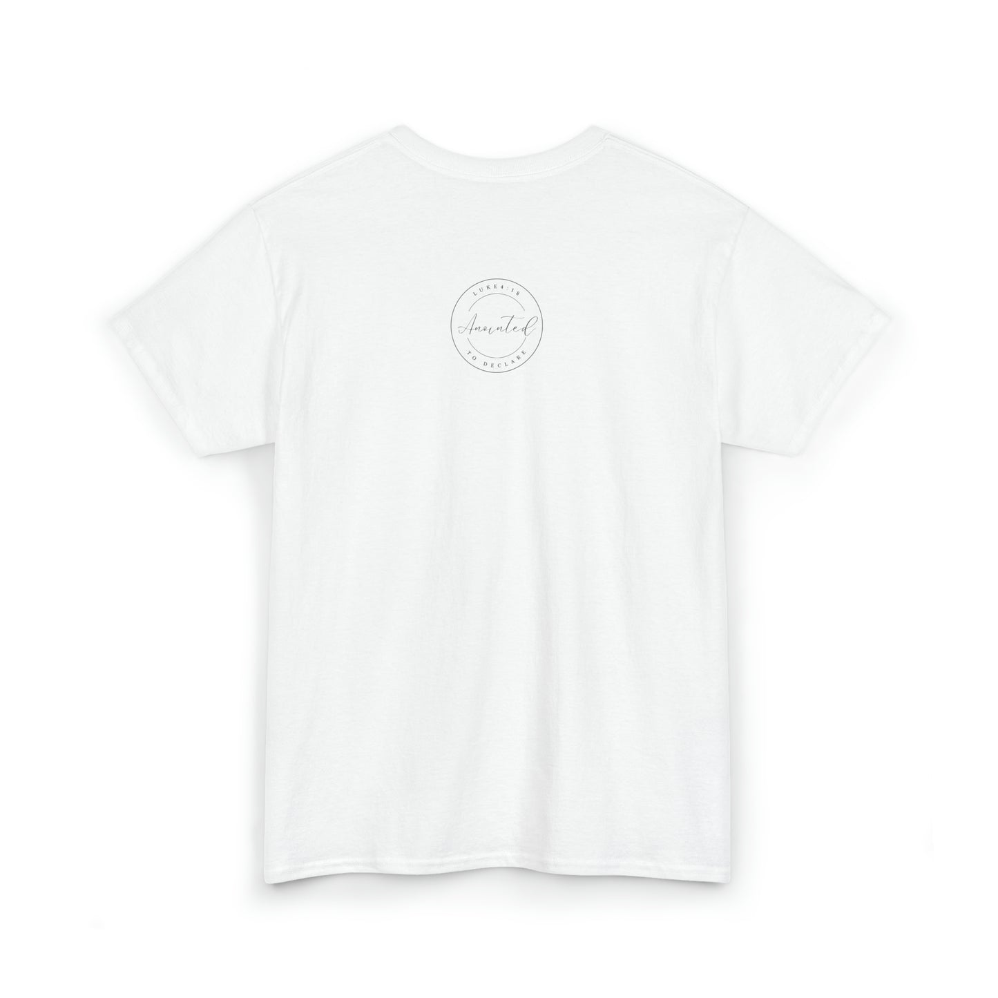 FSU - 1- Unisex Heavy Cotton Tee