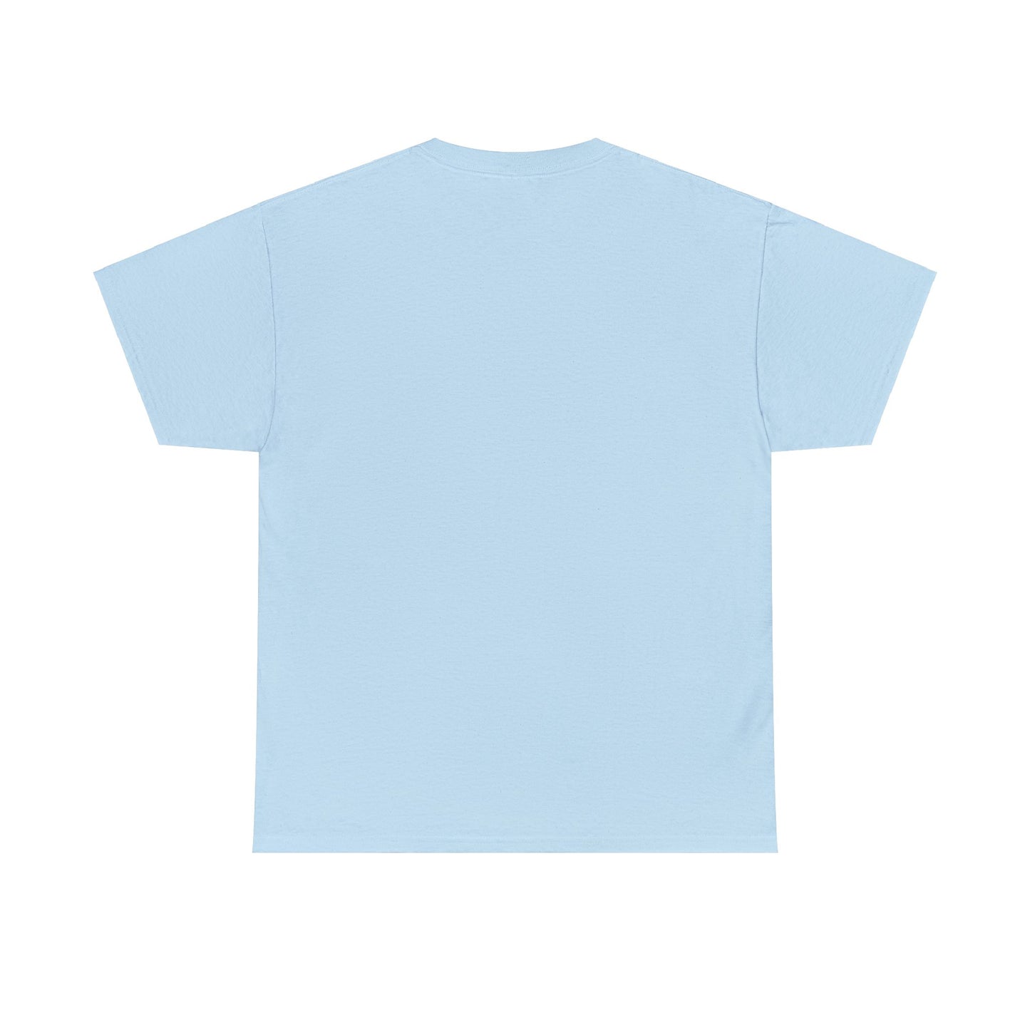 ANOINTED TO DECLARE 1 -Unisex Heavy Cotton Tee