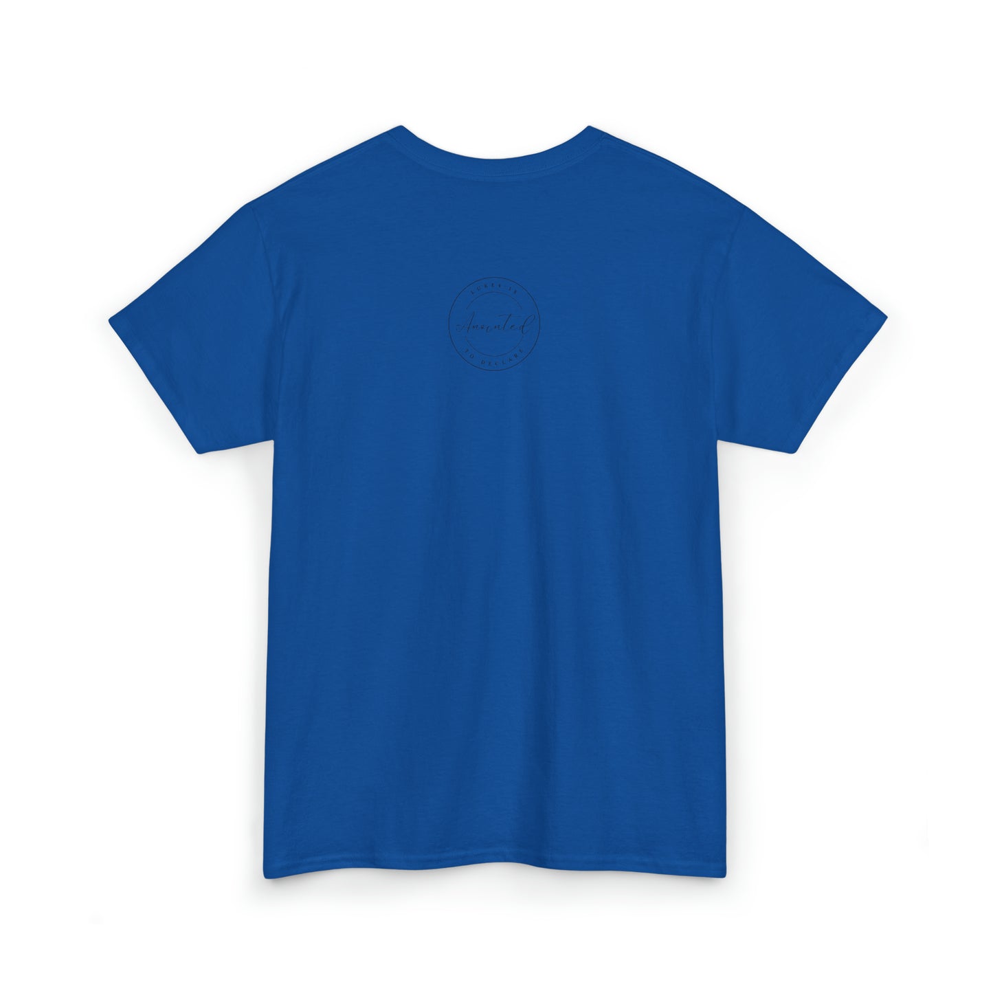 FSU - 1- Unisex Heavy Cotton Tee